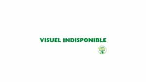 VISUEL INDISPONIBLE 300x169